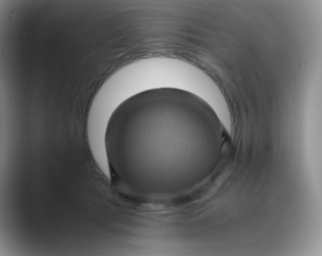 X0000089690417200707051628