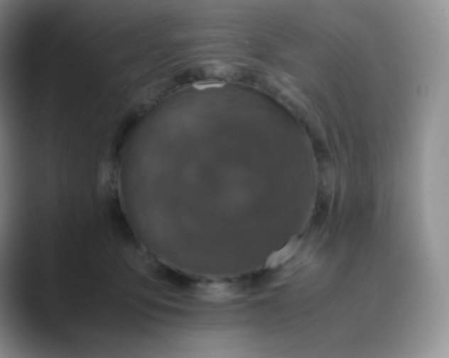 X0000089690419200707051628