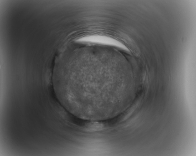 X0000089690421200707051628