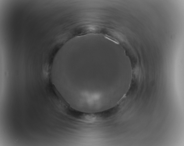 X0000089690423200707051628