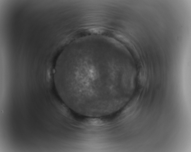 X0000089690424200707051628