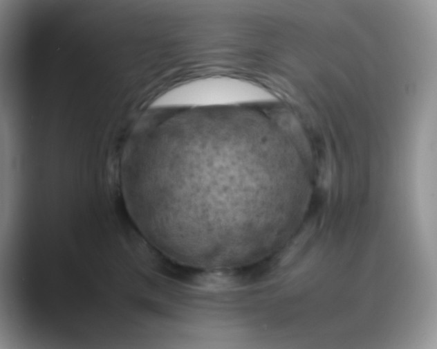 X0000089690425200707051628