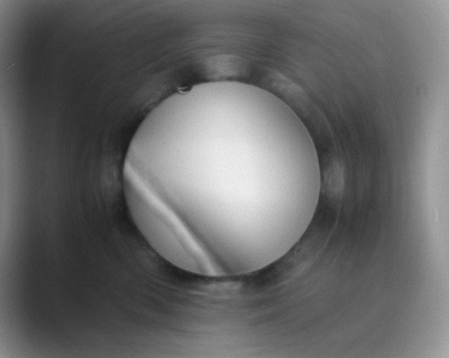 X0000089690426200707051628