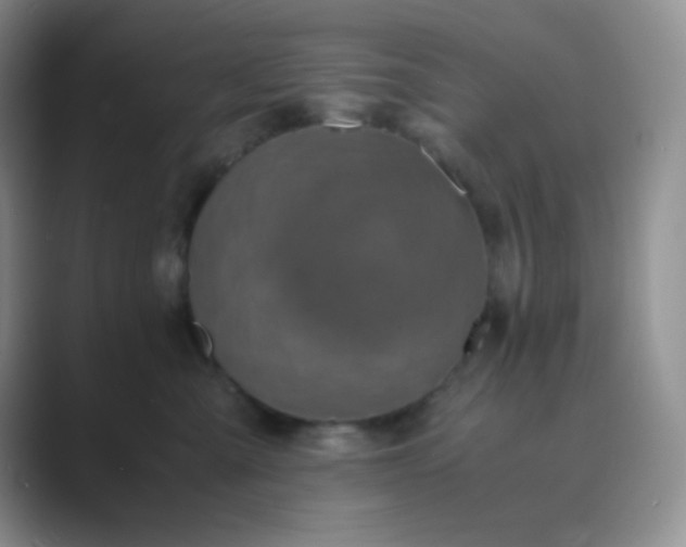 X0000089690427200707051628