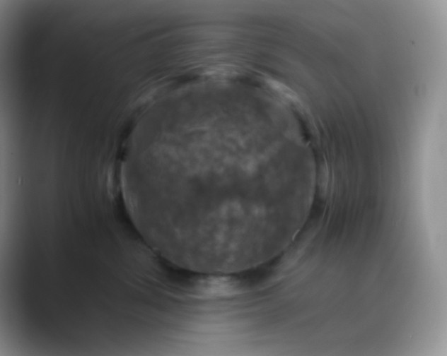 X0000089690428200707051628