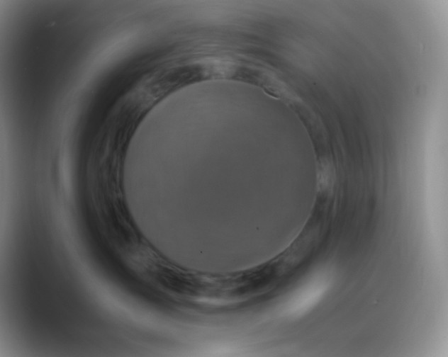 X0000089690431200707051628