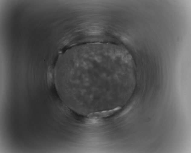 X0000089690432200707051628