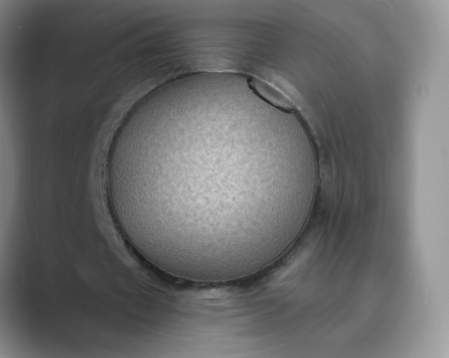 X0000089690433200707051627