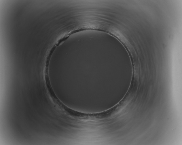 X0000089690434200707051627