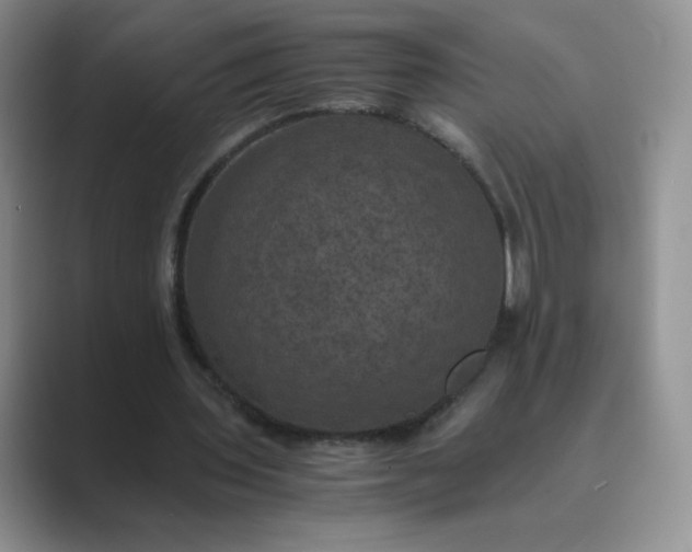 X0000089690435200707051627