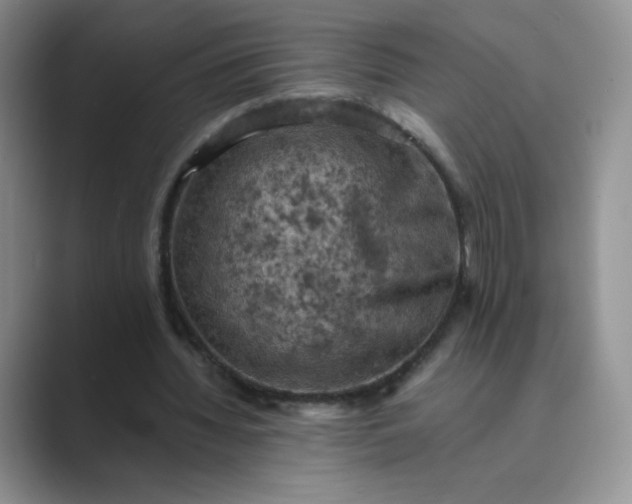 X0000089690436200707051627