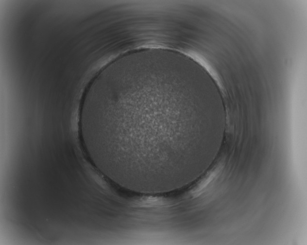 X0000089690437200707051627