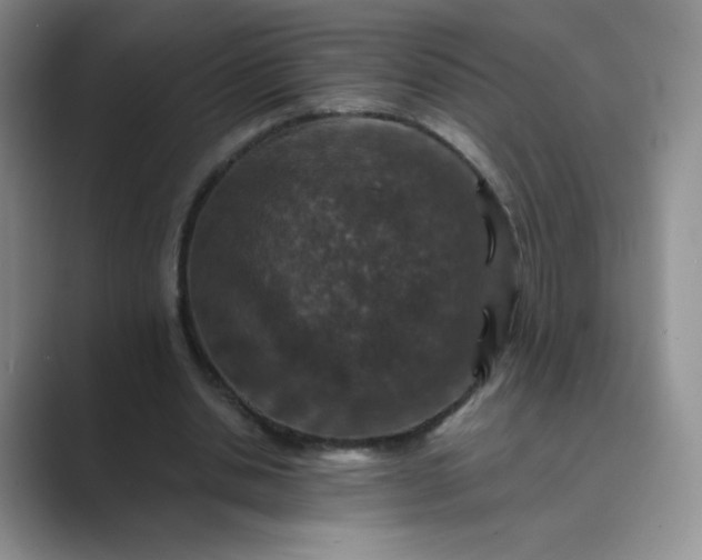 X0000089690438200707051627