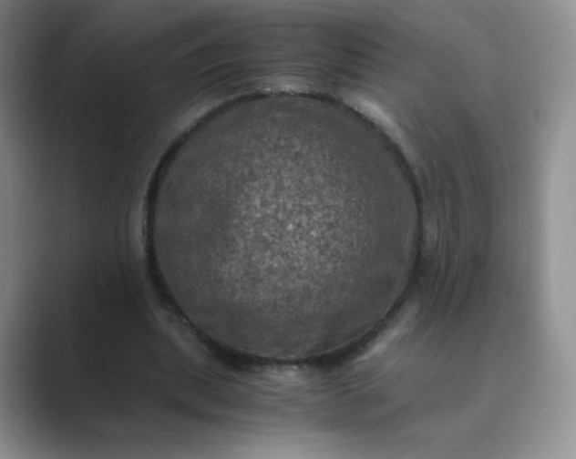 X0000089690439200707051627