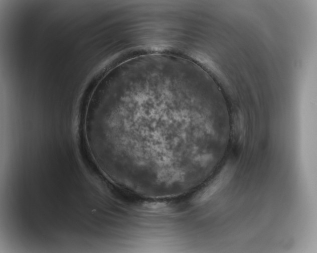 X0000089690440200707051627