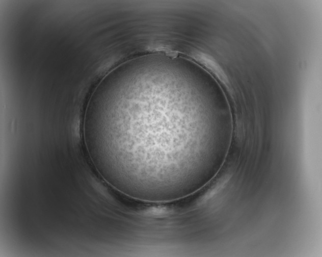 X0000089690441200707051627