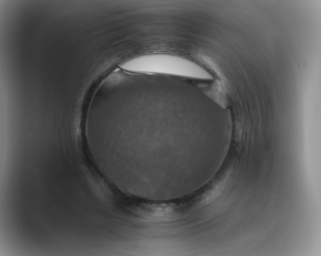 X0000089690443200707051627