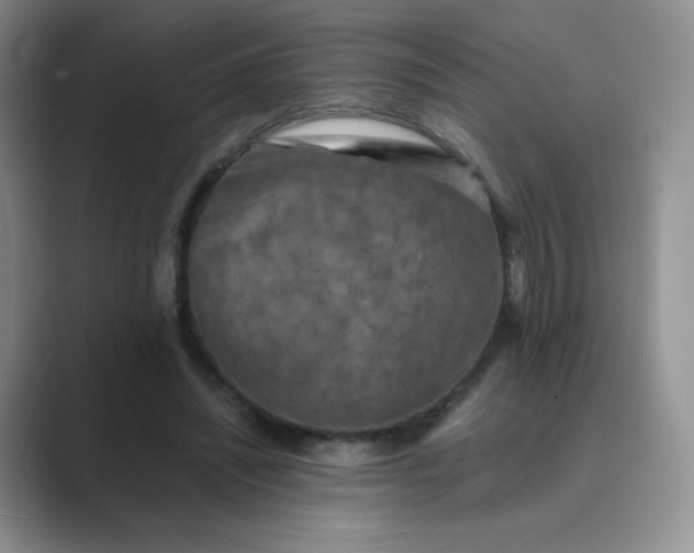 X0000089690444200707051628