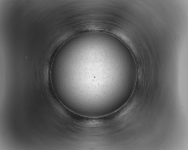 X0000089690445200707051628