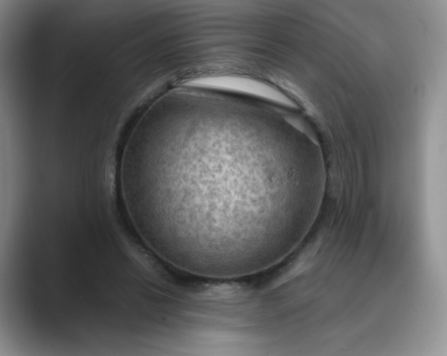 X0000089690446200707051628