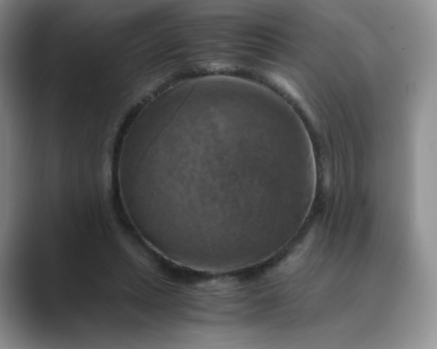 X0000089690447200707051628