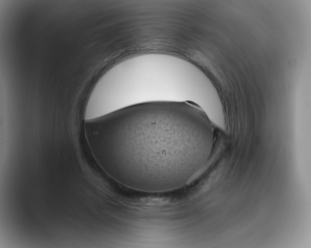 X0000089690448200707051628