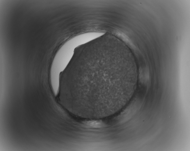 X0000089690449200707051628