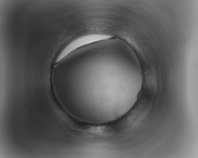 X0000089690450200707051628