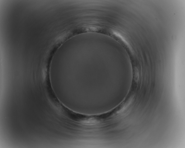 X0000089690451200707051628