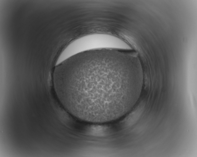 X0000089690453200707051628