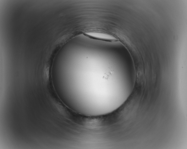 X0000089690454200707051628