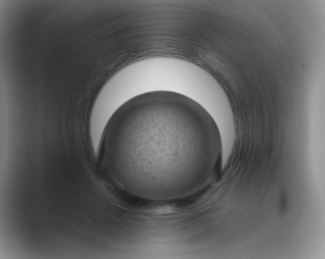 X0000089690456200707051628