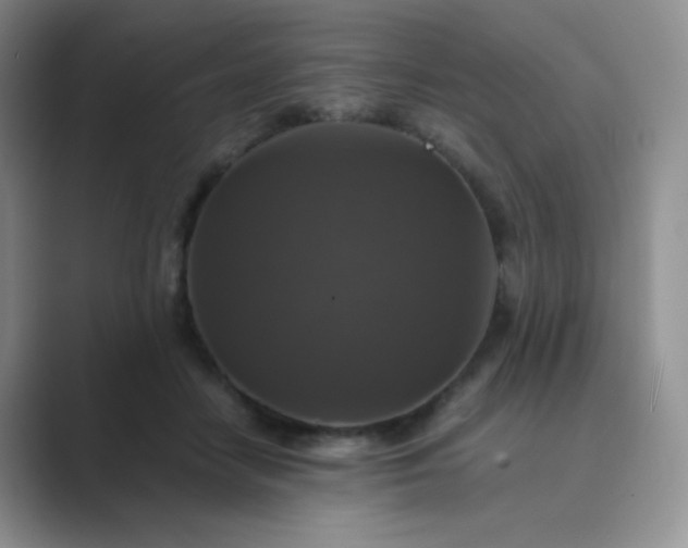 X0000089690458200707051628