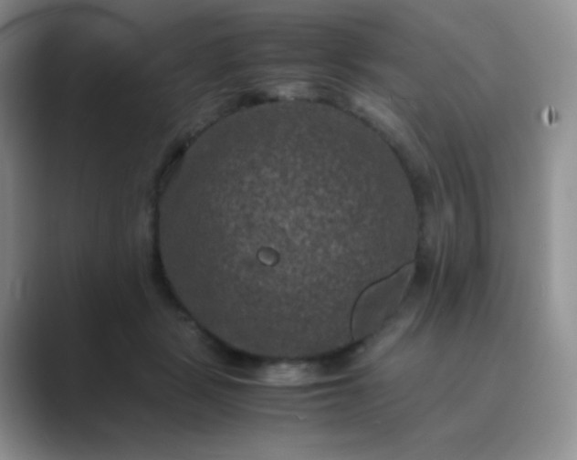 X0000089690461200707051628