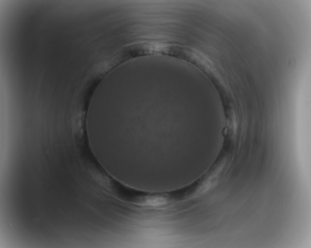 X0000089690462200707051628