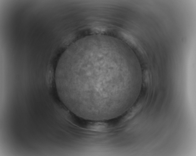 X0000089690463200707051628