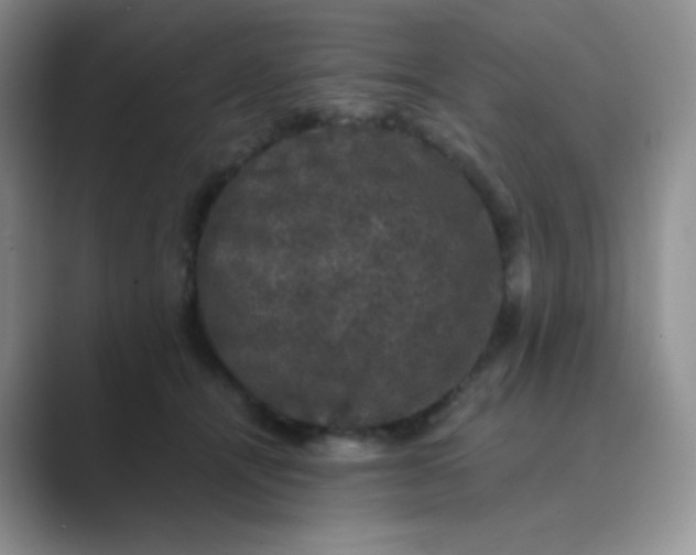 X0000089690464200707051628