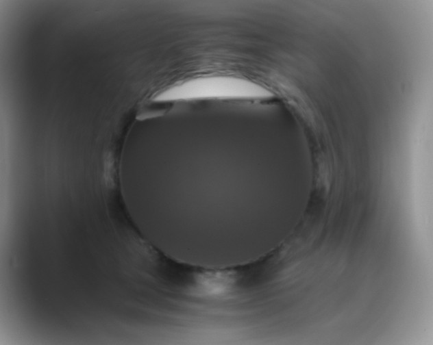 X0000089690465200707051628