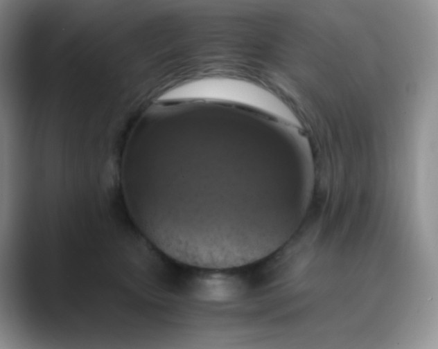 X0000089690467200707051628