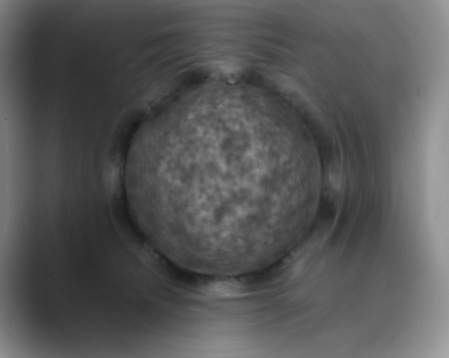 X0000089690468200707051628