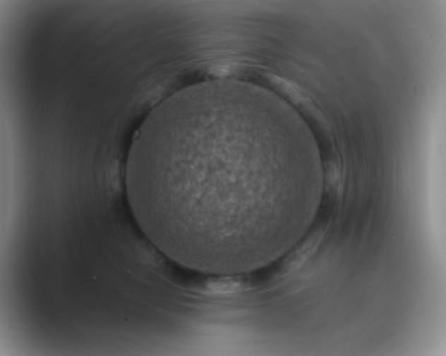 X0000089690470200707051628