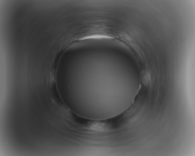 X0000089690471200707051628