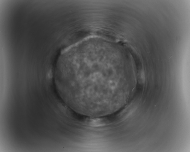 X0000089690472200707051628