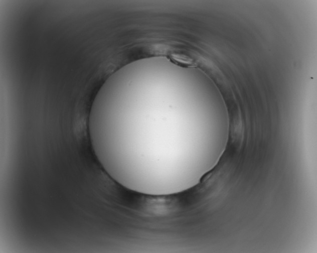 X0000089690473200707051628