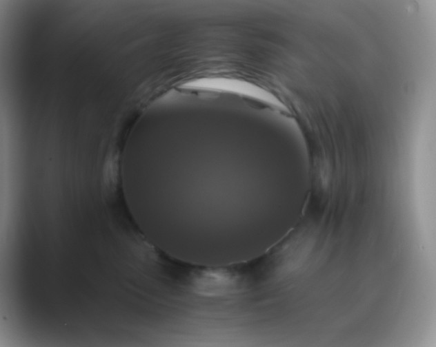 X0000089690475200707051628