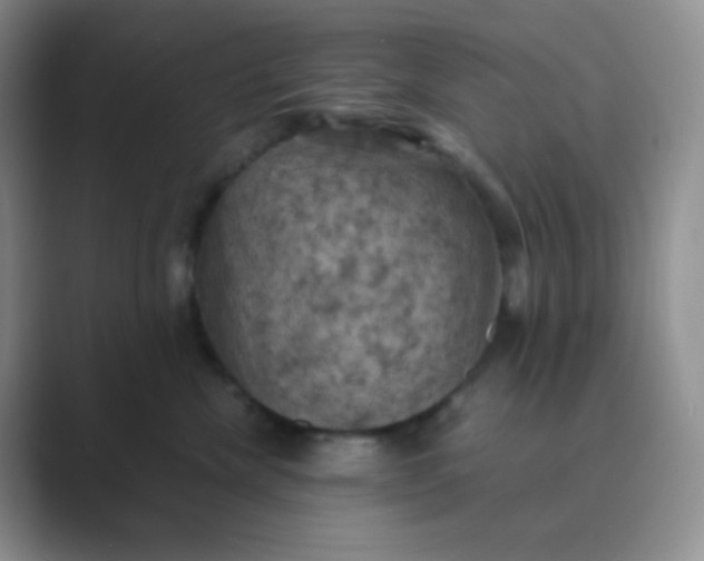 X0000089690476200707051628