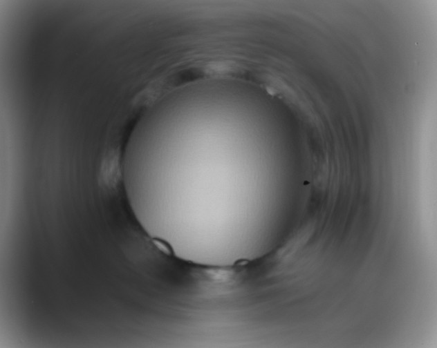 X0000089690478200707051628