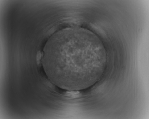 X0000089690480200707051628