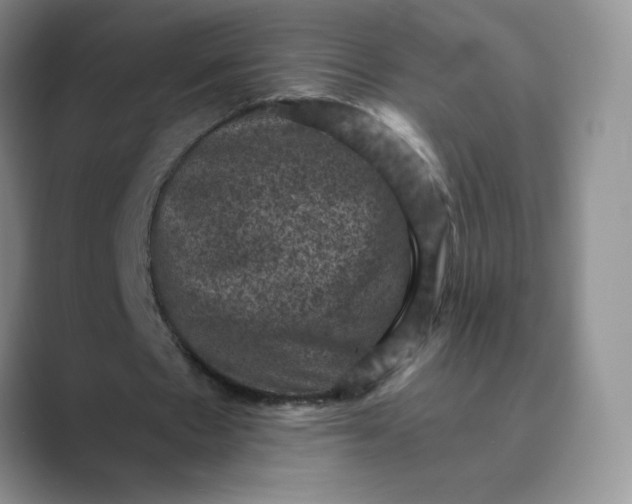 X0000089690481200707051627