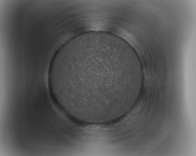 X0000089690482200707051627